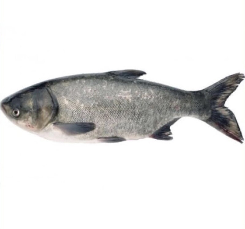 Buffalo Fish - Whole - Wild Caught - (Толстолобик - Тушка)