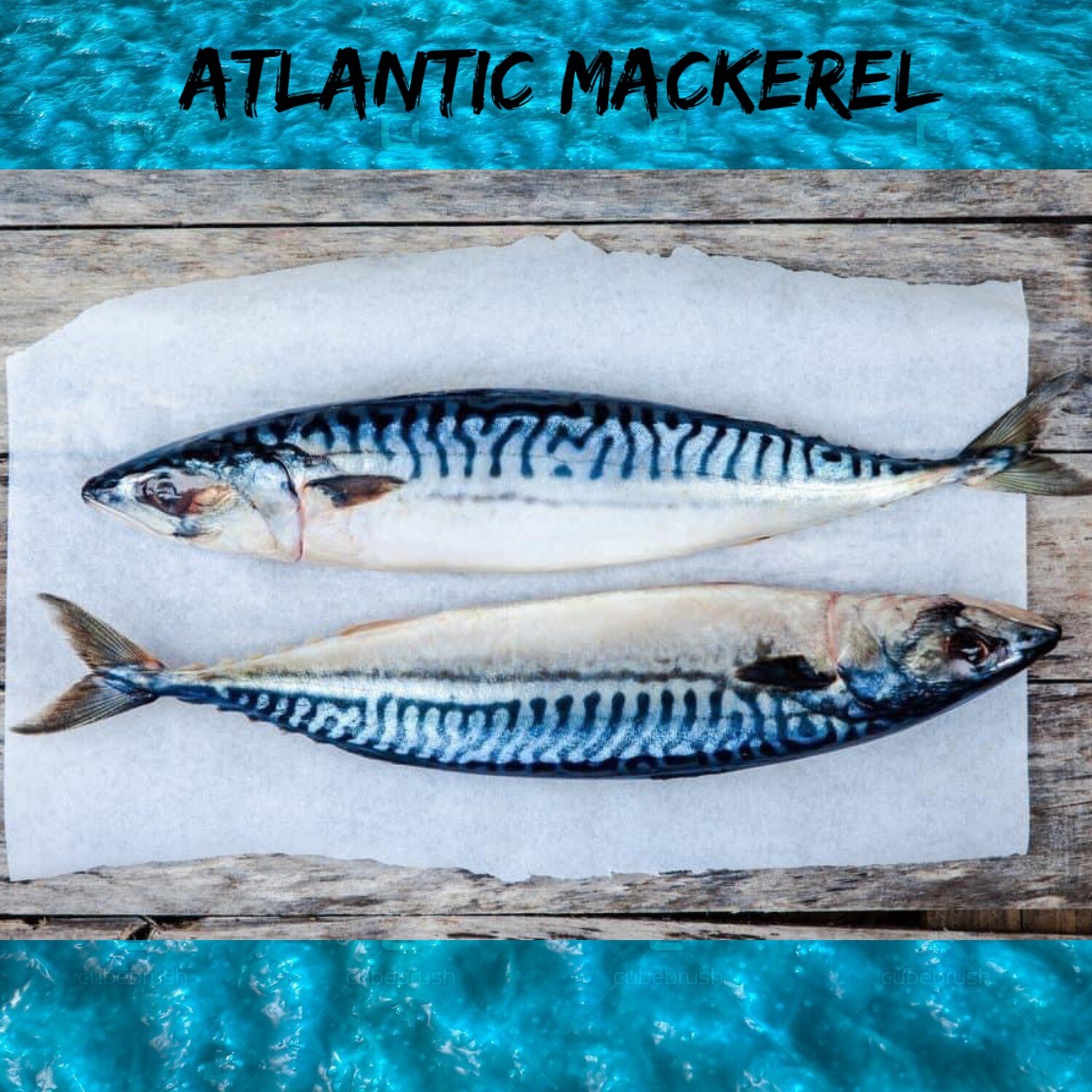 Atlantic Mackerel Whole Wild Caught (Скумбрия)