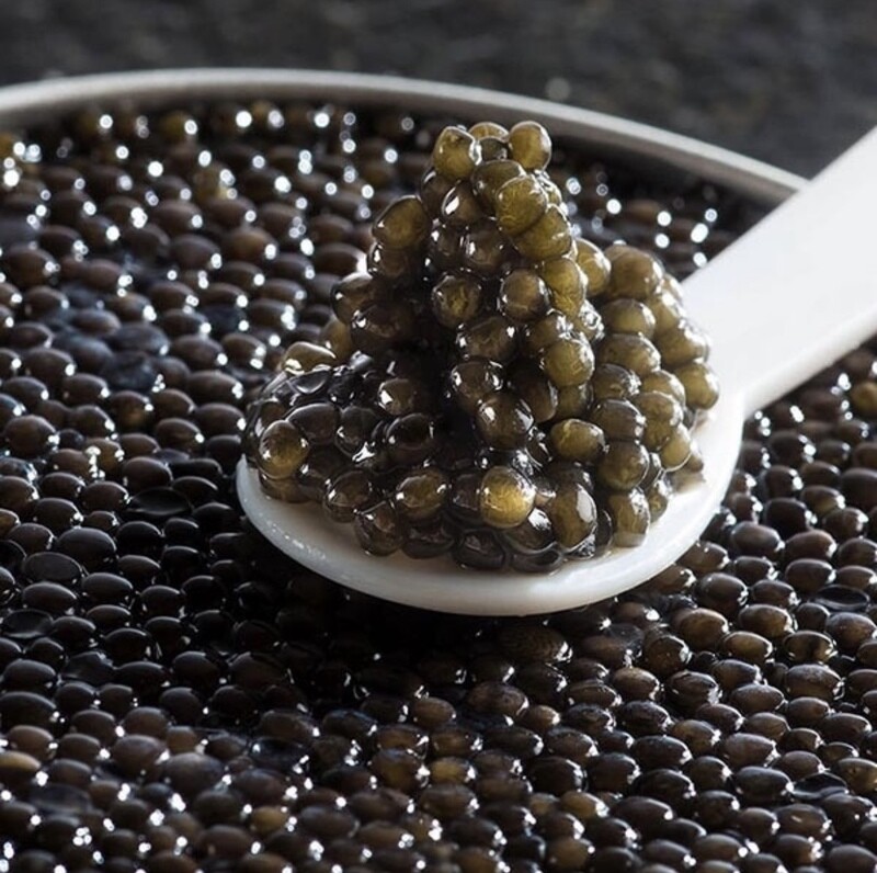 BLACK CAVIAR • STURGEON