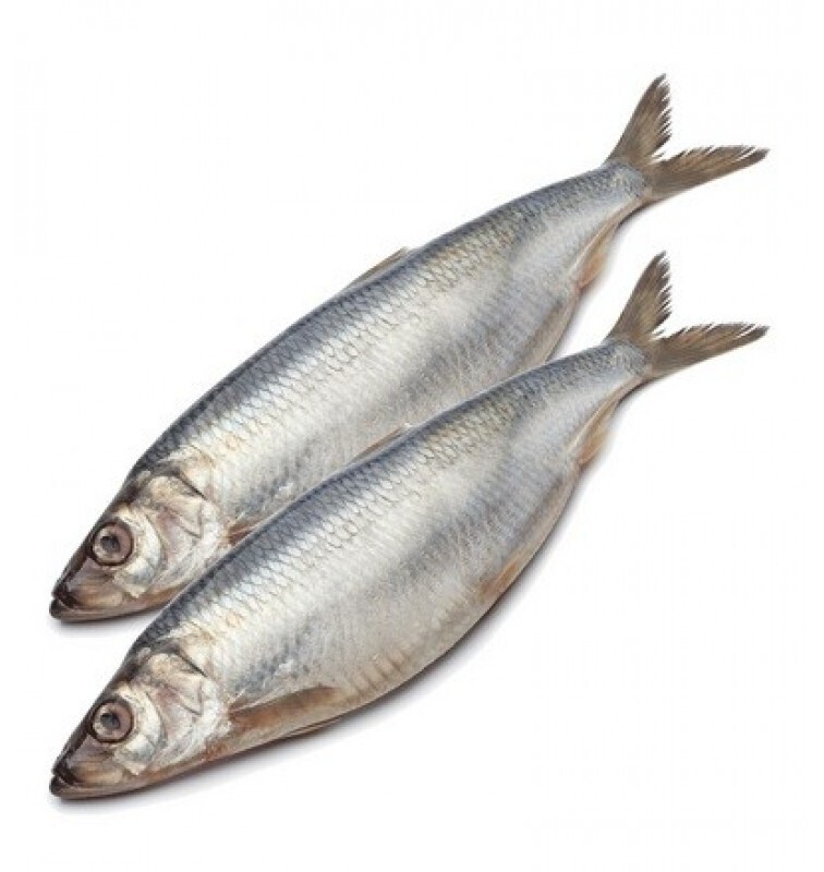 Herring - Wild Caught - (Сельдь)