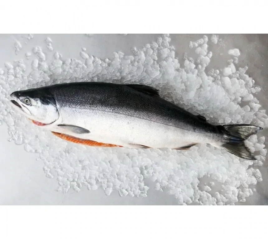 Alaskan Sockeye Salmon - Wild Caught - Whole H/G - (Лосось- Нерка - Тушка)