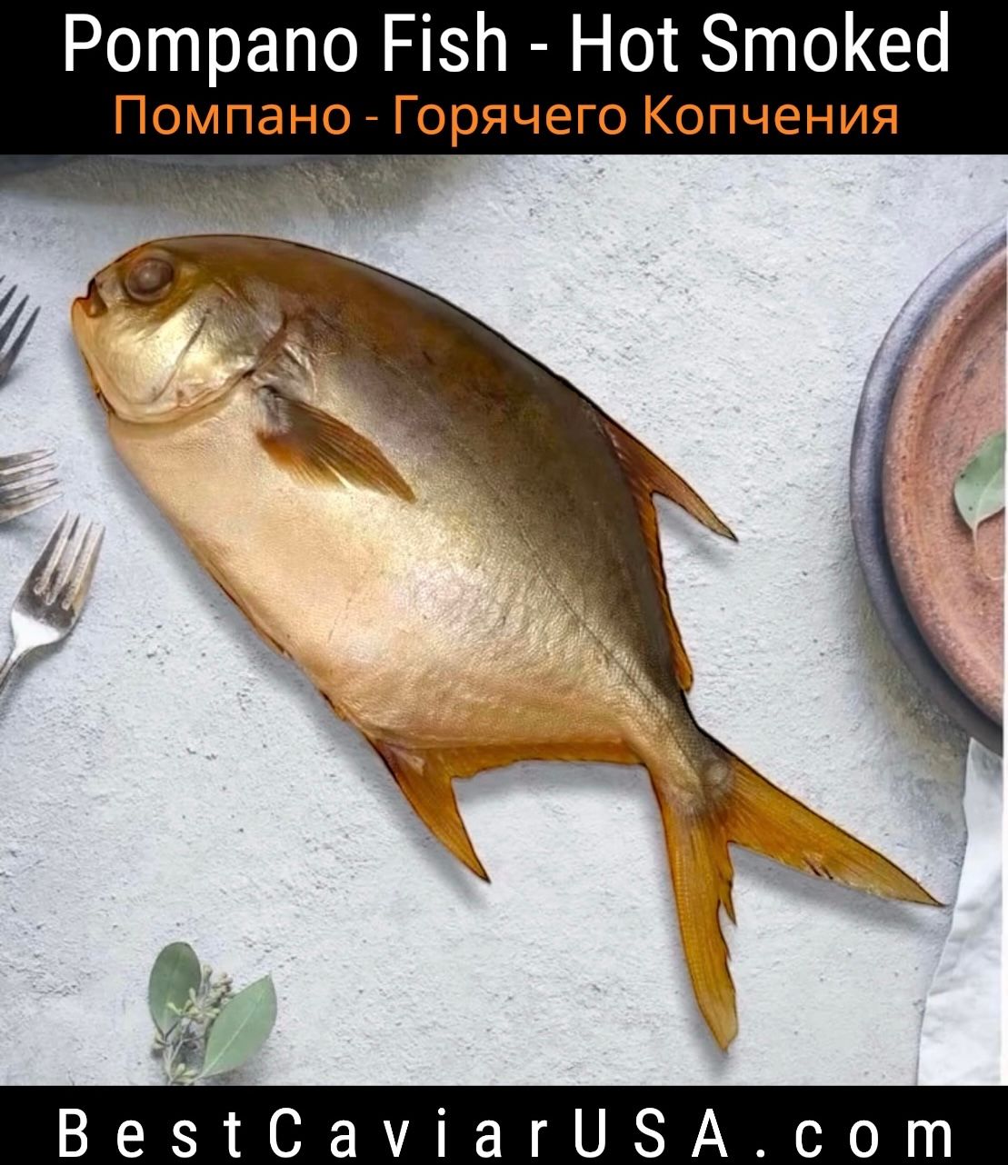 Pompano • Hot Smoked • (whole) (Average Weight 0.9 - 1.1 lb) - (Помпано - Г/К)