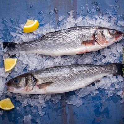 Sea Bass – Whole – 1-Fish Pack