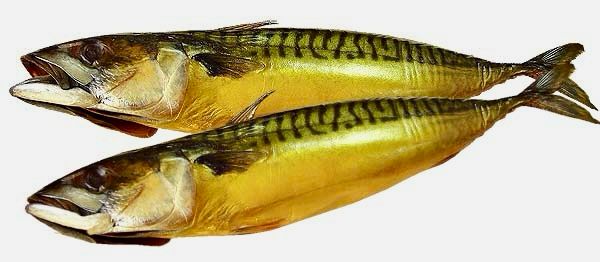 Hot Smoked Atlantic Mackerel – 1.2–1.5 lb