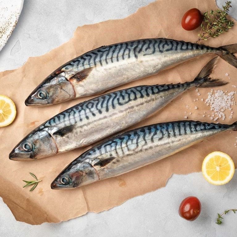 Atlantic Mackerel - Whole - Wild Caught - (Скумбрия)