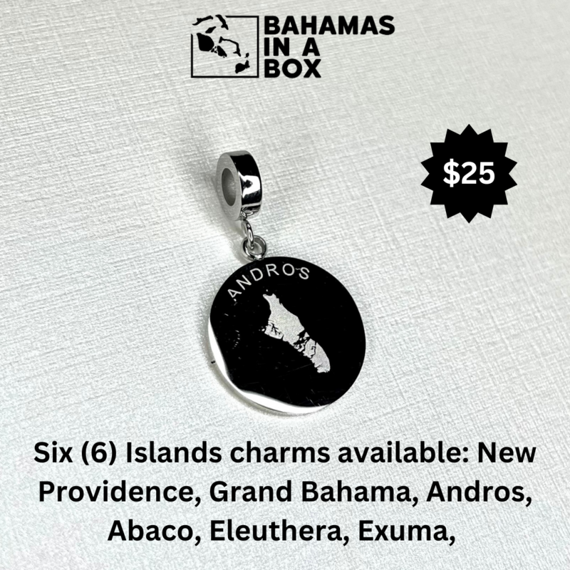 Stainless Steel Island Charms (Andros)