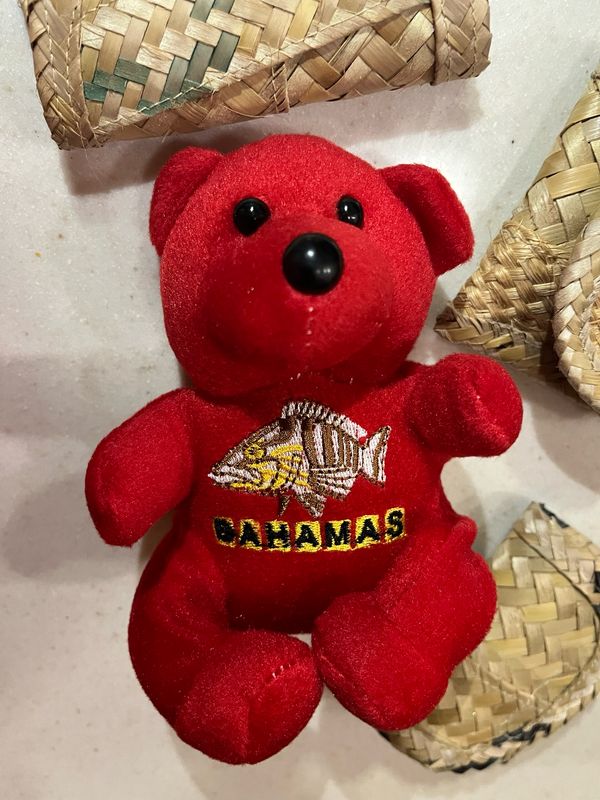 Souvenir Mini Teddy Bear