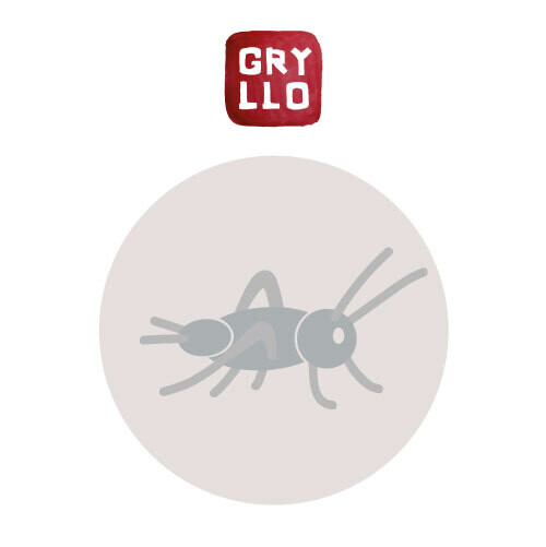 Crickets Refill