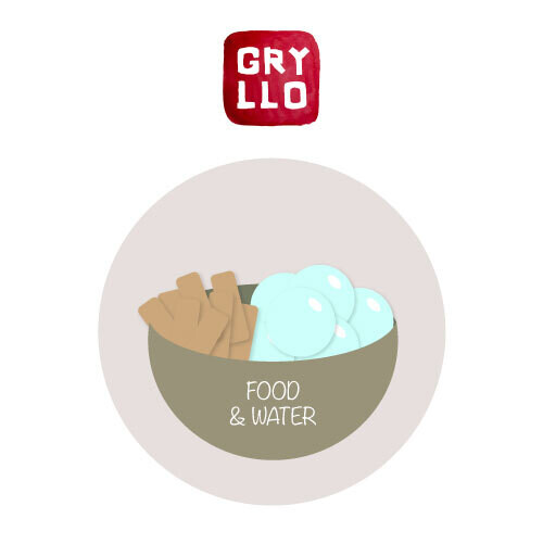 Feed Refill for Gryllo