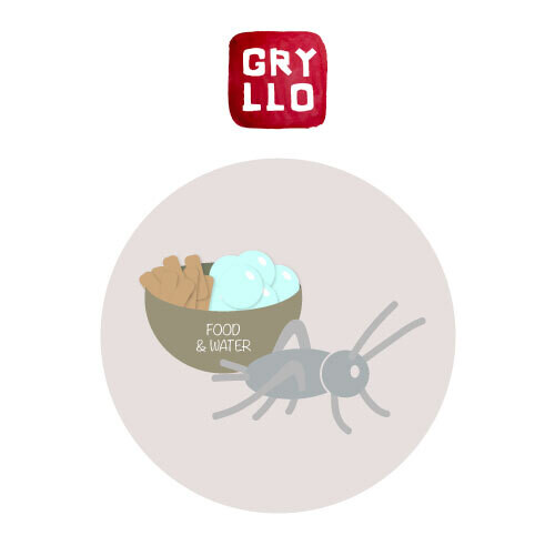 Cricket Refill  for Gryllo (with feed)