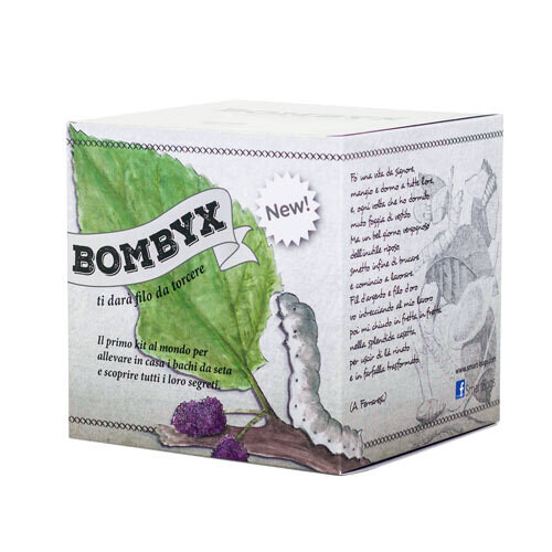 Bombyx