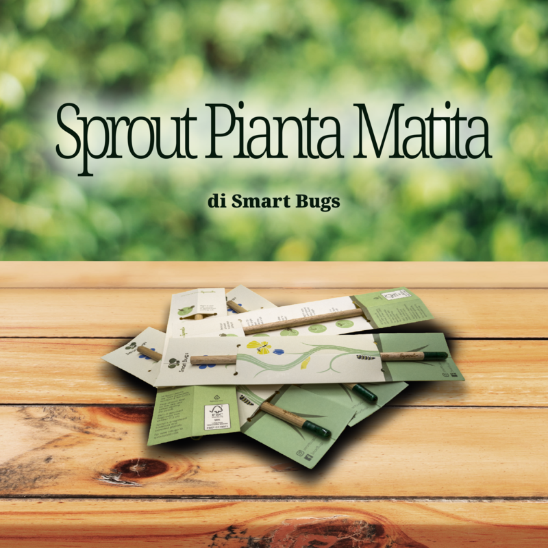 Sprout Pianta Matita