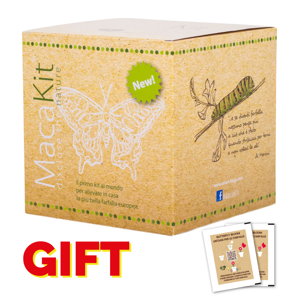 MacaKit - GIFT EDITION con coupon