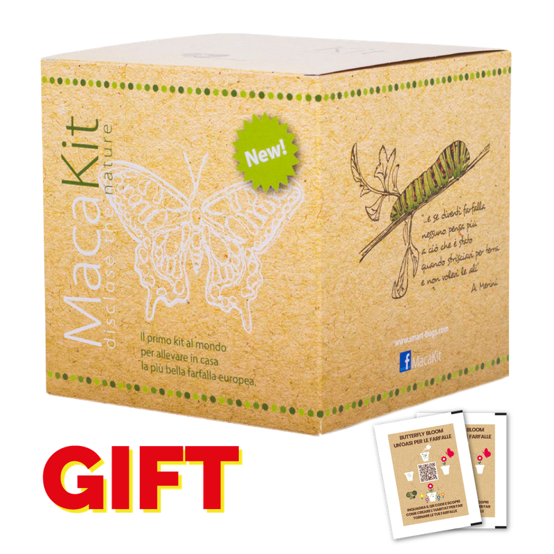 MacaKit - GIFT EDITION con coupon