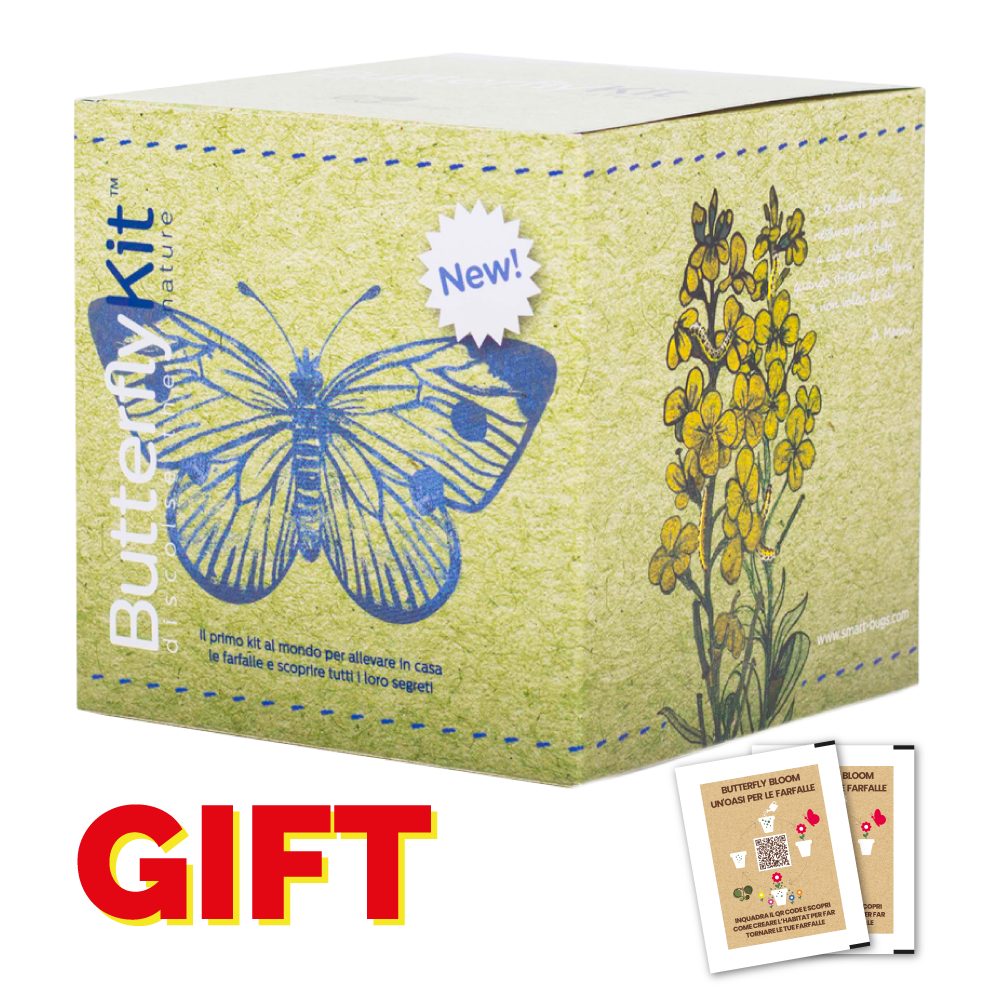 ButterflyKit - GIFT EDITION con coupon