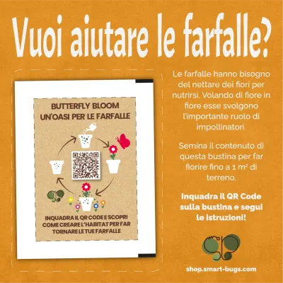 Come creare l&#39;oasi perfetta per le farfalle!