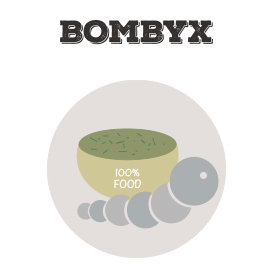 Silkworms Refill for Bombyx (with feed)