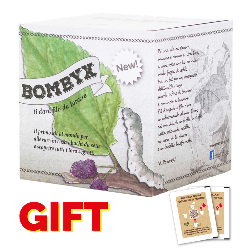 Bombyx - GIFT EDITION con coupon