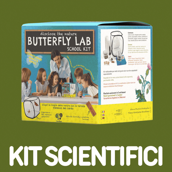 Kit Educativi Per Scuole E Didattica Smart Bugs Kit Educativi Per Scuole E Didattica Smart Bugs