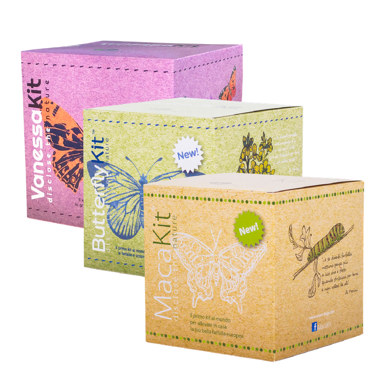 Triplete - Gryllo + ButterflyKit + Bombyx