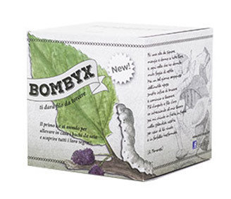 Bombyx - Baco da seta