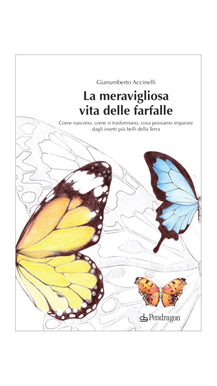 La meravigliosa vita delle farfalle - Italian version
