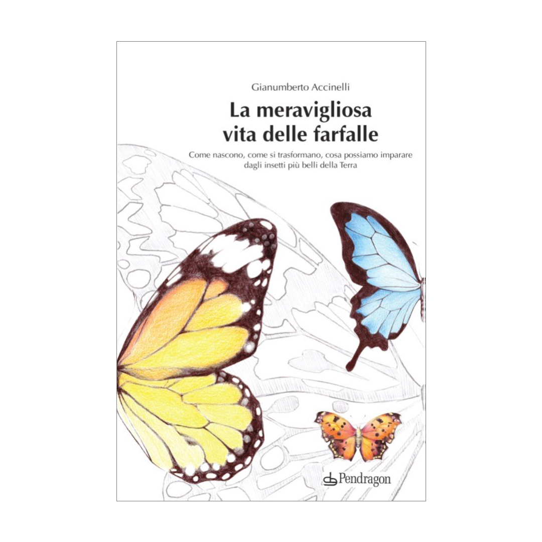 La meravigliosa vita delle farfalle - Italian version