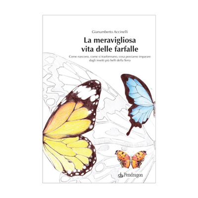 La meravigliosa vita delle farfalle - Italian version