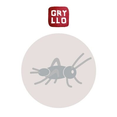 Crickets Refill