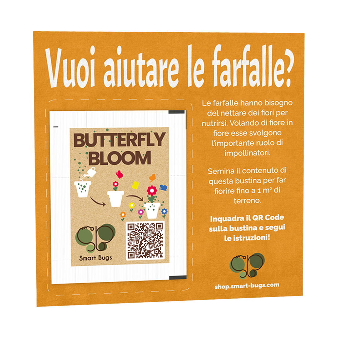Butterfly Bloom - Seeds for your Butterfly Oasis