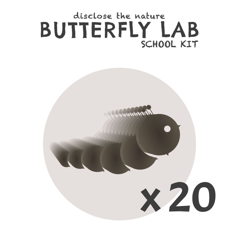 Ricarica bruchi e mangime Butterfly Lab x20