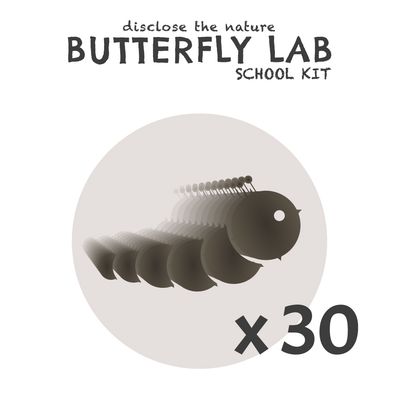 Ricarica bruchi e mangime Butterfly Lab x30