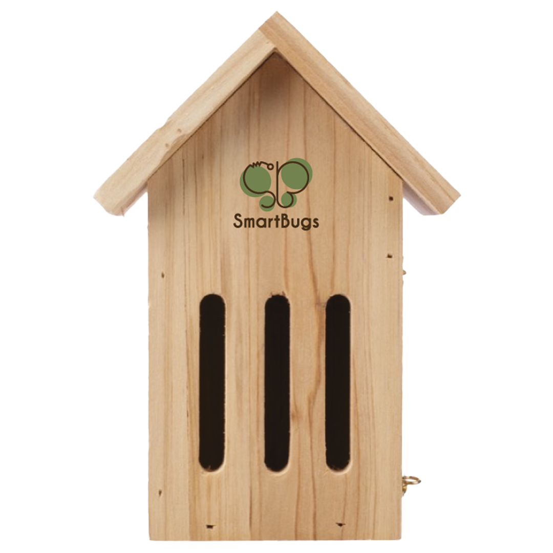 Butterfly-House