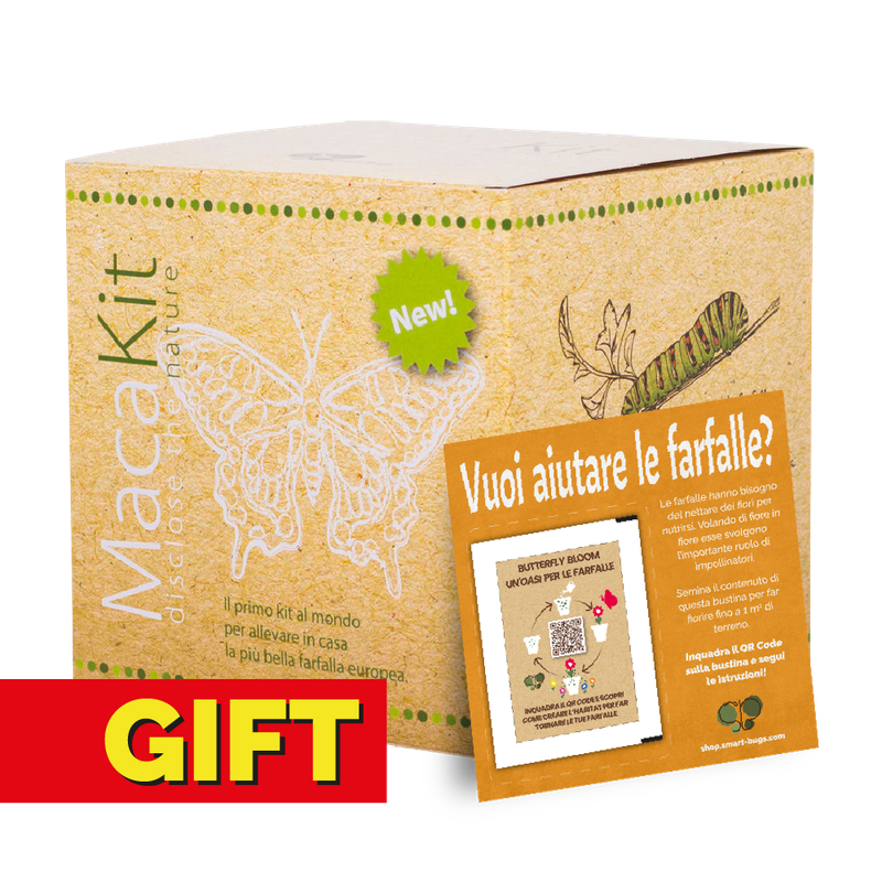 MacaKit - GIFT EDITION con coupon MacaKit - GIFT EDITION con coupon