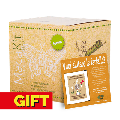 MacaKit - GIFT EDITION con coupon MacaKit - GIFT EDITION con coupon