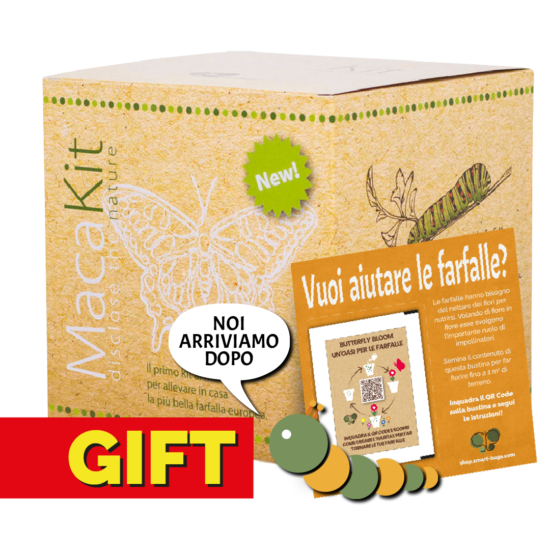 MacaKit - GIFT EDITION con coupon