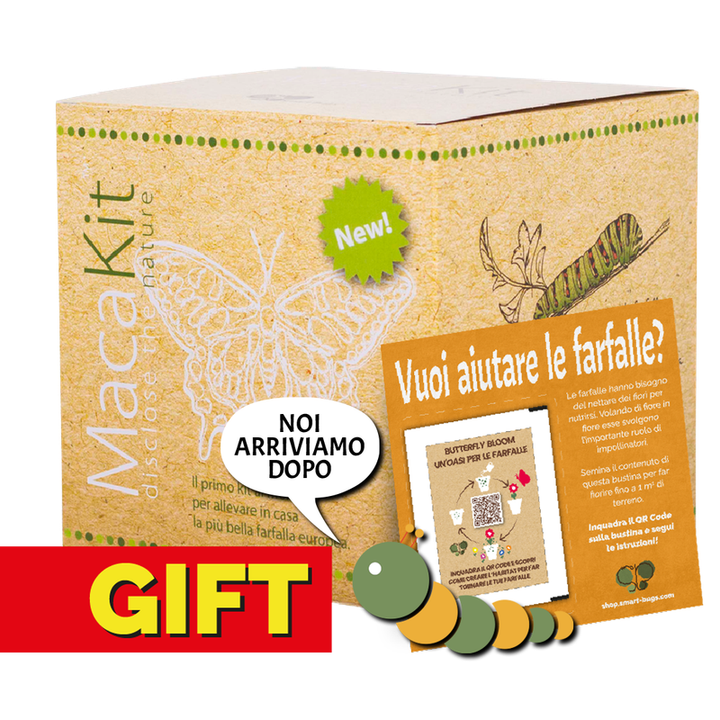 MacaKit - GIFT EDITION con coupon