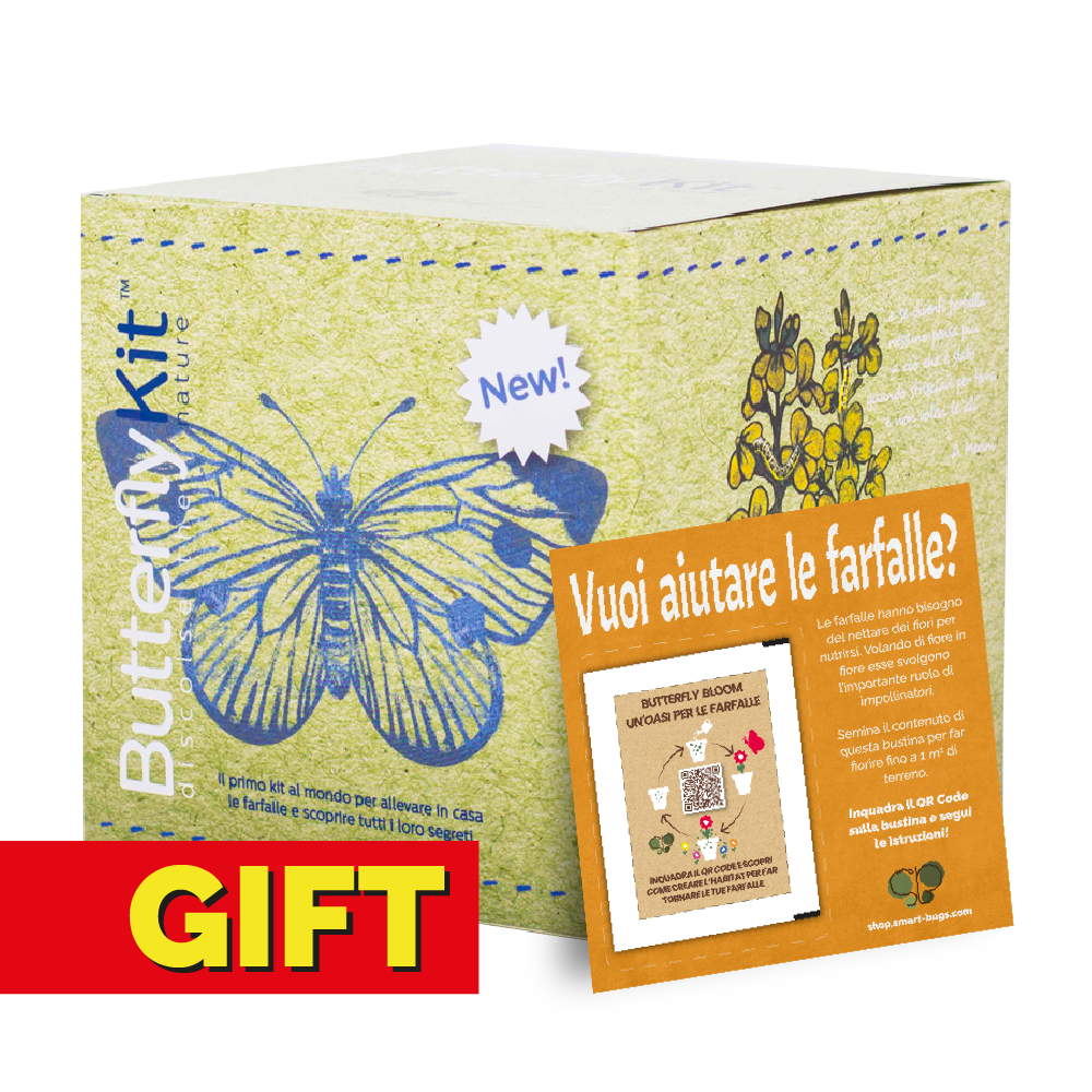 ButterflyKit - GIFT EDITION con coupon