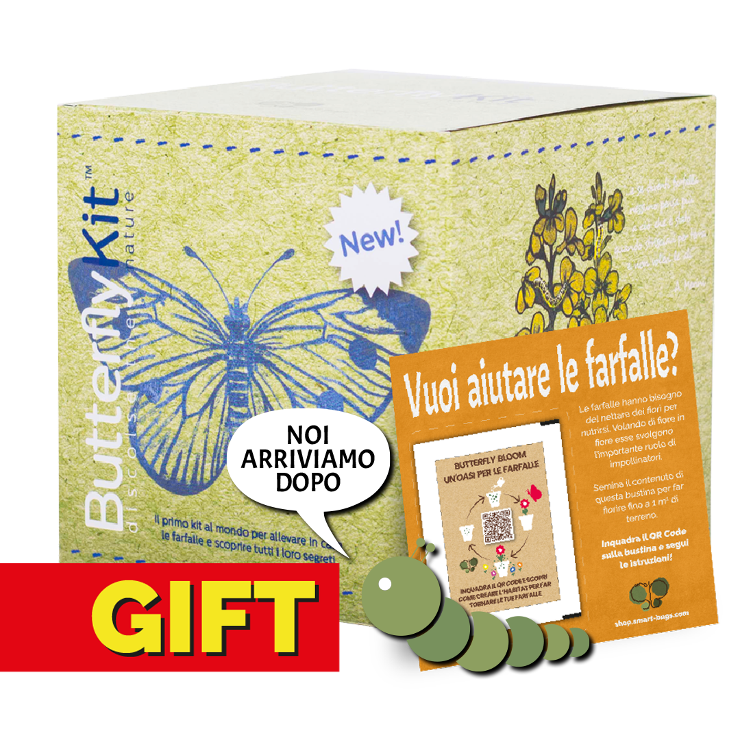 ButterflyKit - GIFT EDITION con coupon