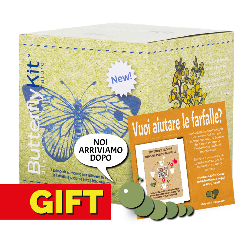 ButterflyKit - GIFT EDITION con coupon