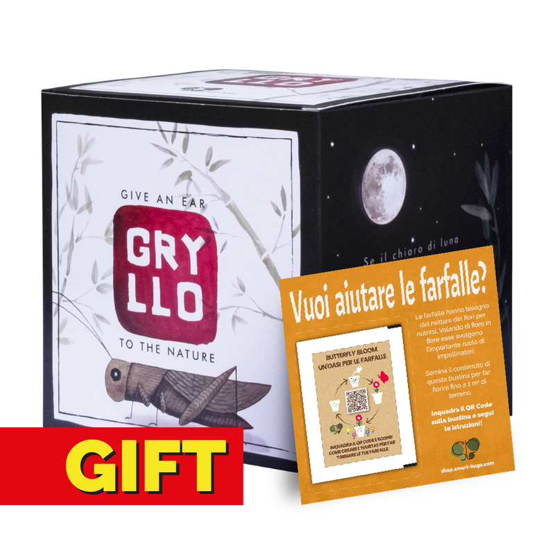 Gryllo - GIFT EDITION con coupon Gryllo - GIFT EDITION con coupon