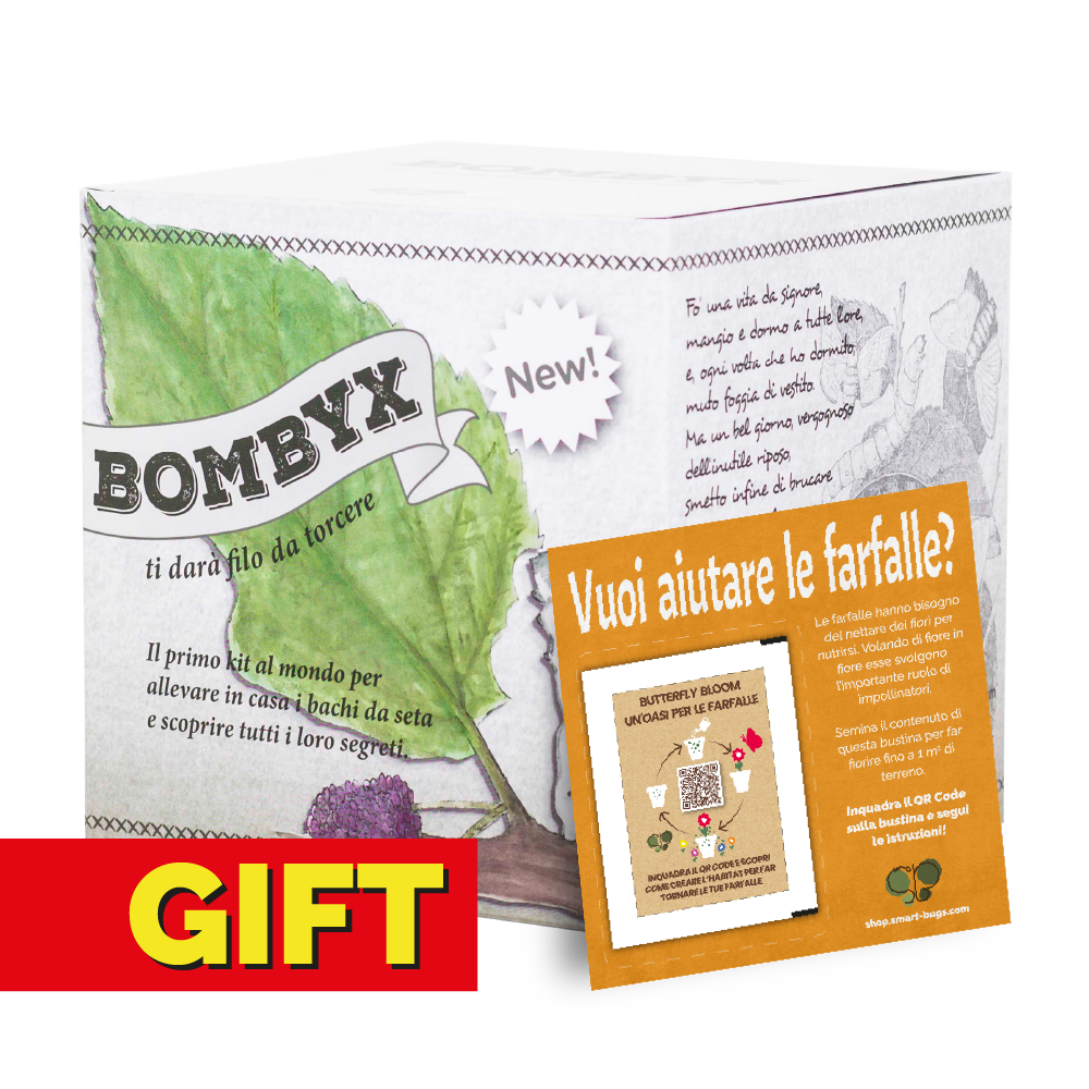 Bombyx - GIFT EDITION con coupon