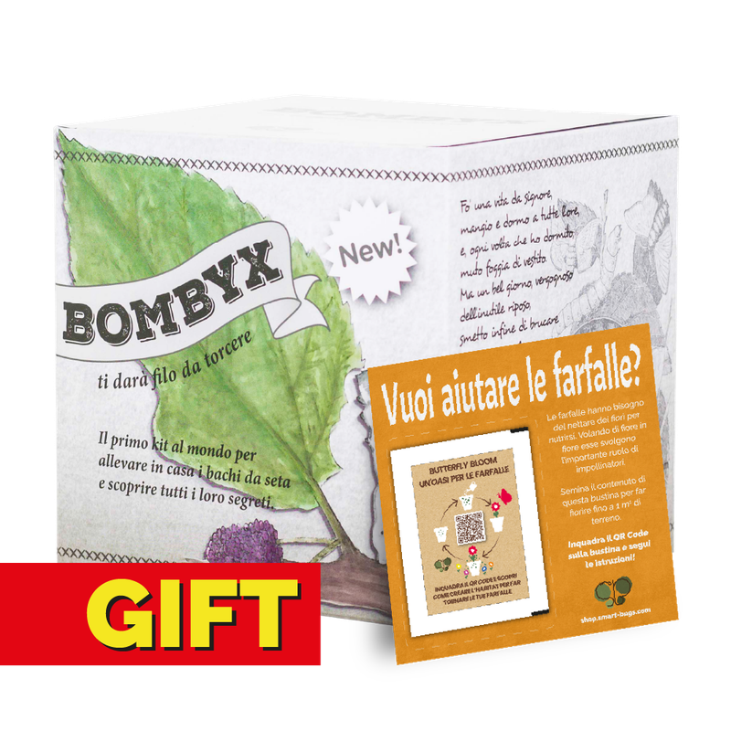 Bombyx - GIFT EDITION con coupon Bombyx - GIFT EDITION con coupon