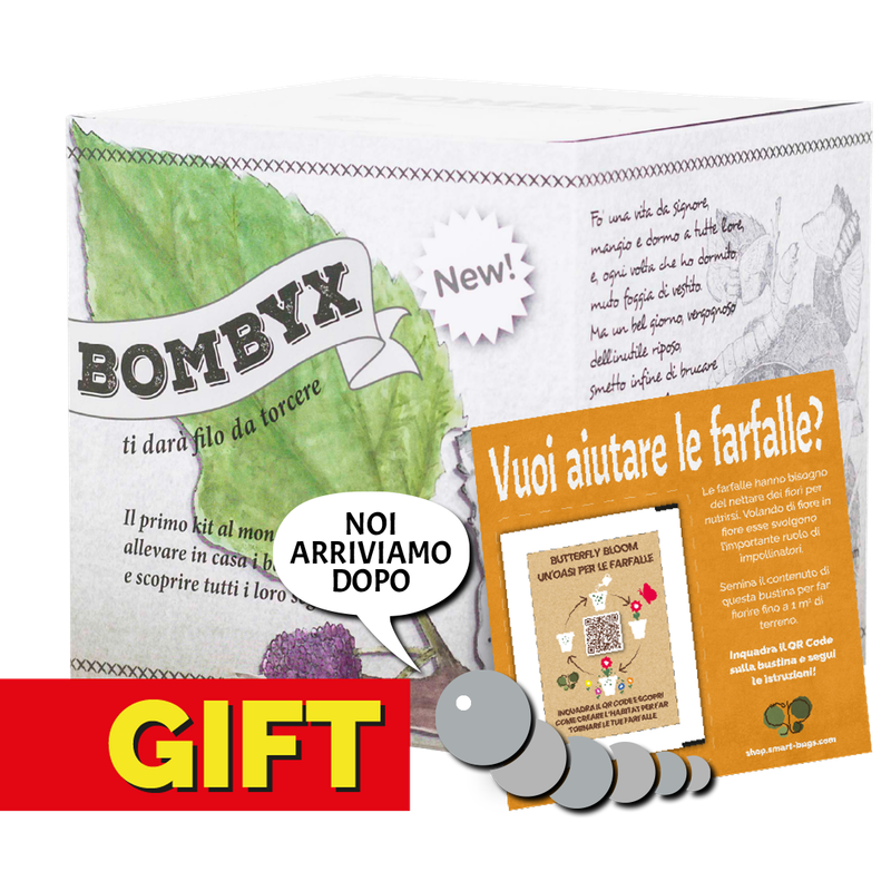 Bombyx - GIFT EDITION con coupon