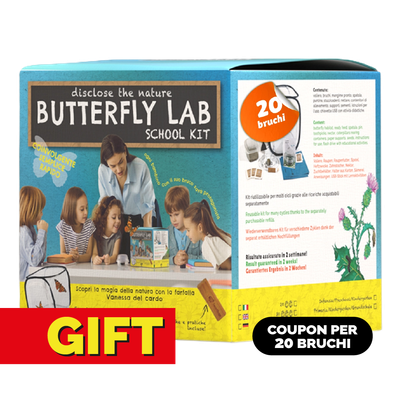 Butterfly Lab-SCHOOL KIT - GIFT EDITION con coupon (per 20 bruchi) Butterfly Lab-SCHOOL KIT - GIFT EDITION con coupon (per 20 bruchi)