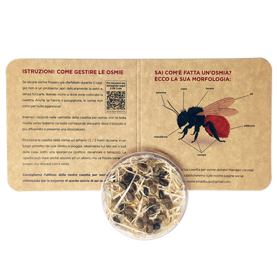 Bozzoli di Osmia