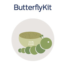 neue Raupen sowie neues Futter - ButterflyKit