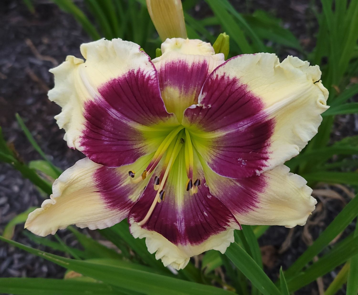BRIGHTNESS WITHIN