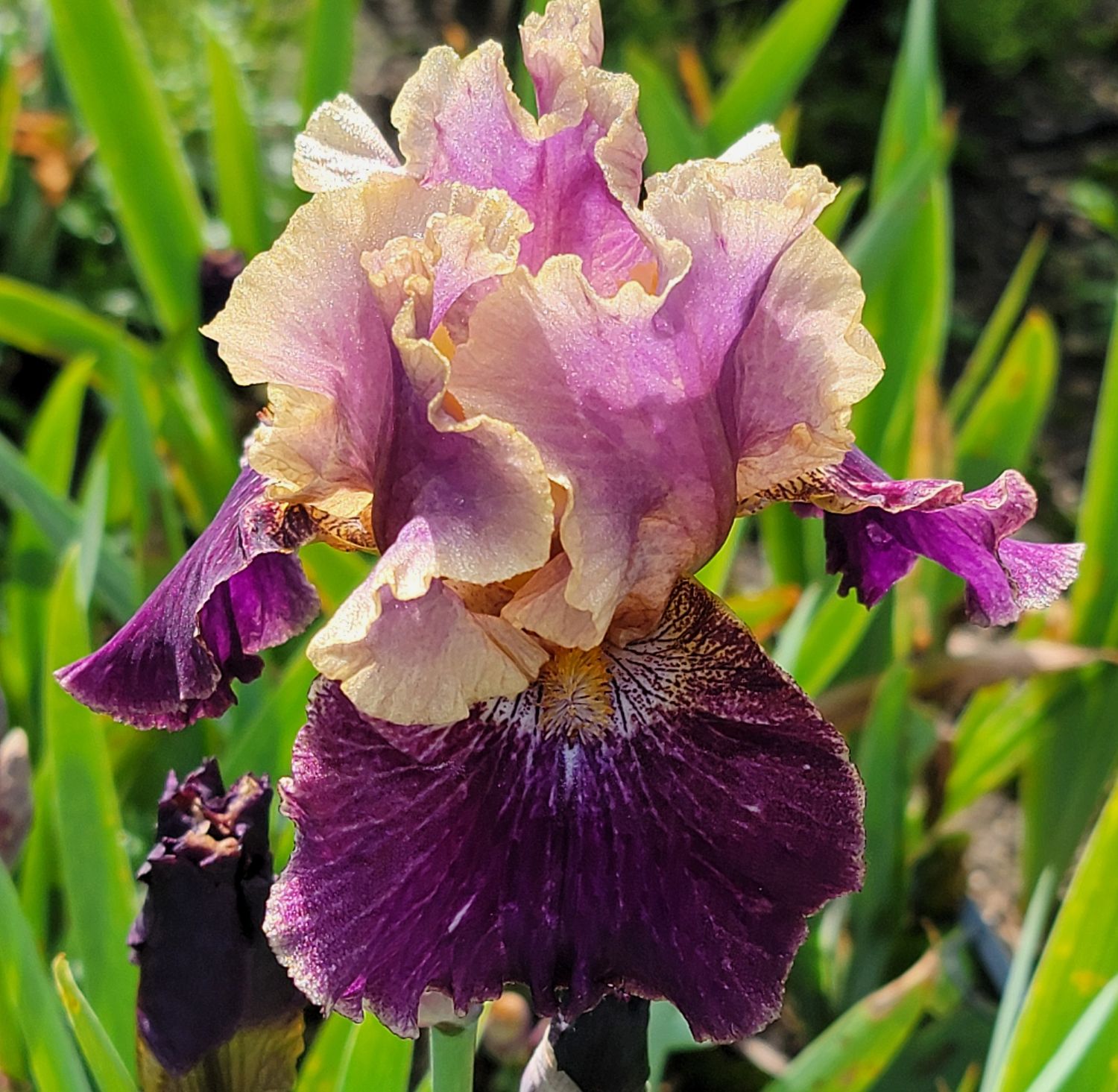 LET&#39;S BE FRIENDS