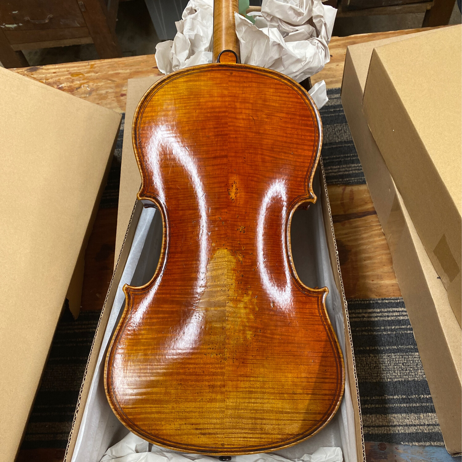 JAY HAIDE &quot;special&quot; EURO Maginni Viola “S” Model